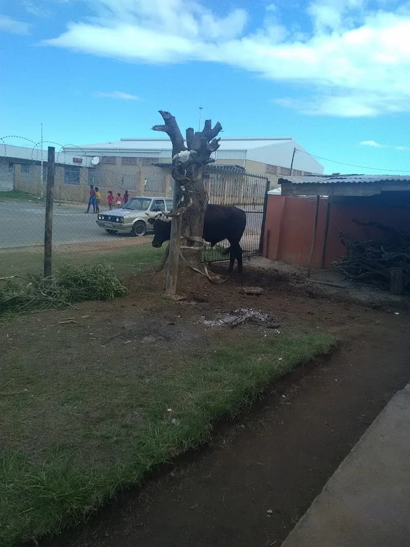 Kwanobuhle Musallah