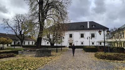 Dojebaný Palác