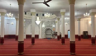 جامع الرّحمة بالهرّي