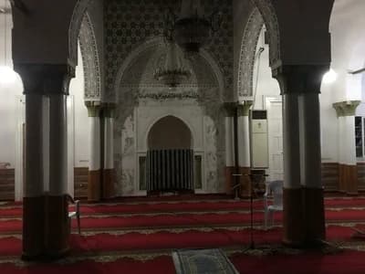 جامع النور - الفحص