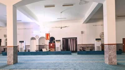 جامع النخل