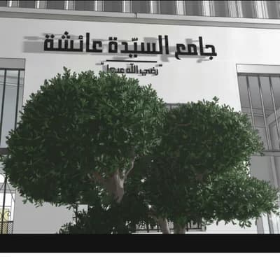 جامع السيدة عائشة