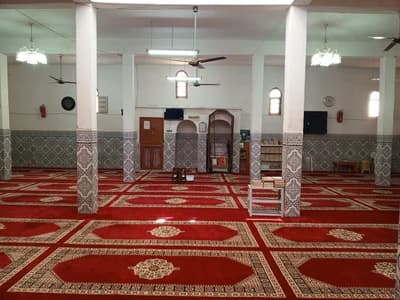 النيمرو - تنجداد