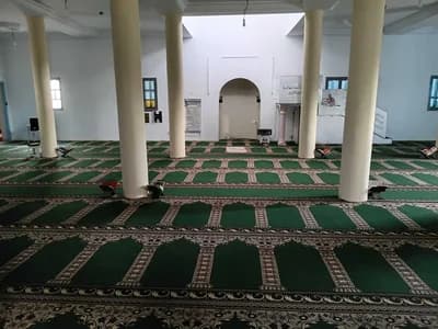 الرحمة - Zagrata