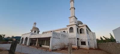 Mesquita