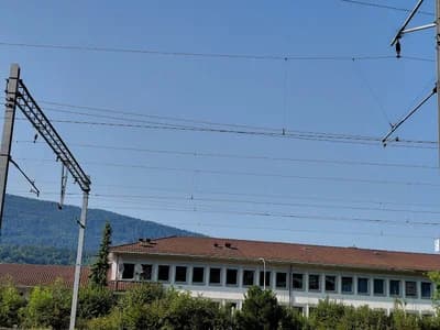 Sig Olten