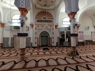 جامع الهداية - صيادة