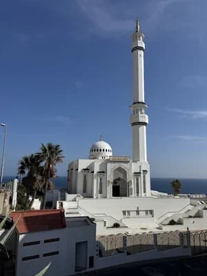 مسجد ويليبروردوس