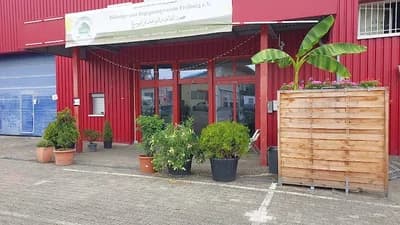 Bbf Verein