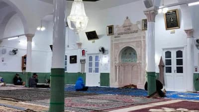 جامع السلام السلوم