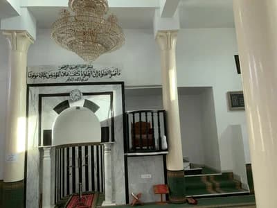 جامع عقبة بن نافع - الفحص
