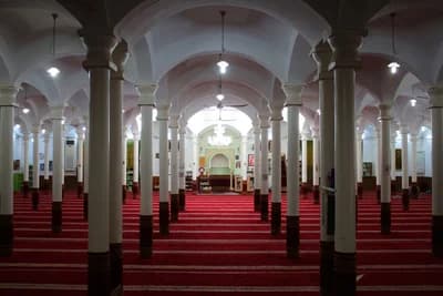الجامع الجديد مجاز الباب