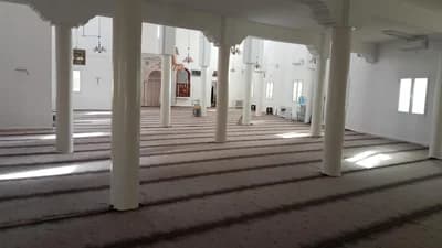 عمر بن الخطاب