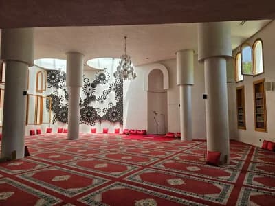 مسجد الشاكرين