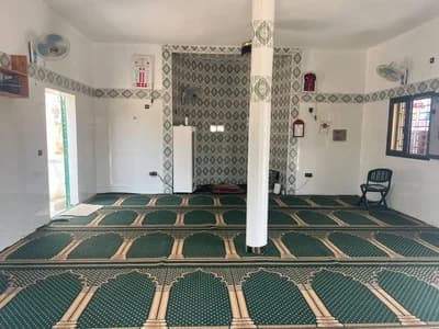 Masjid Al-Aqsa - Taiba Ndiaye