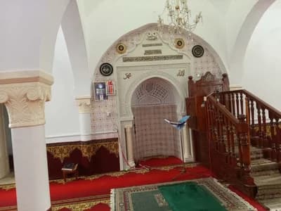 جامع الفتح بوشة