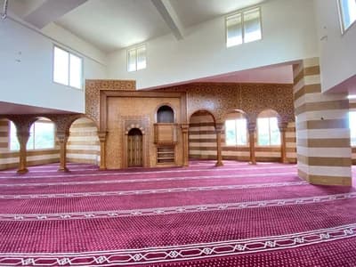 مسجد السلطان محمد الفاتح
